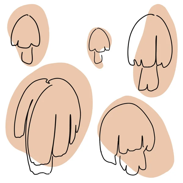 美丽的手绘线条艺术单色蘑菇 — 图库矢量图片