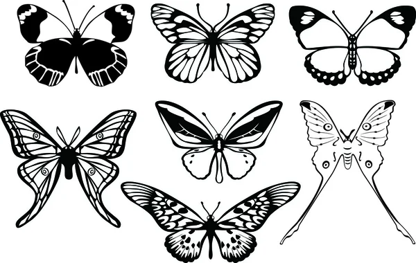 Mariposas. — Archivo Imágenes Vectoriales