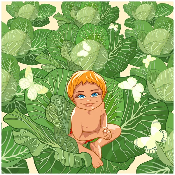 The kid sitting in cabbage. — Stock Vector
