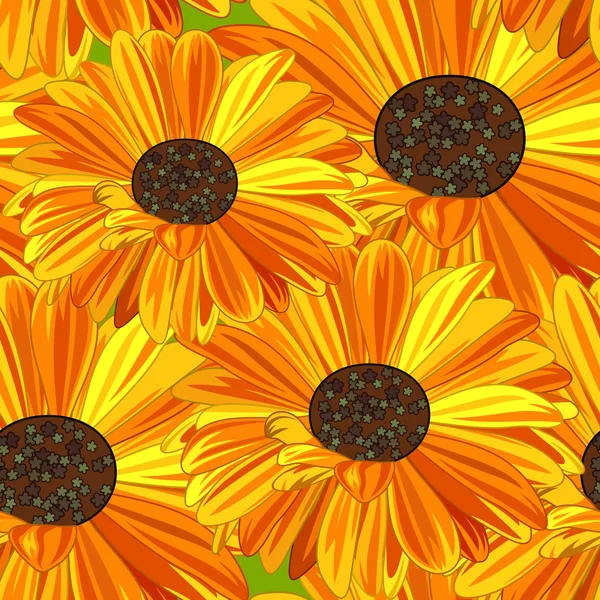 Gele en oranje Daisy. — Stockvector