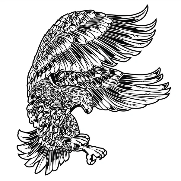 Eagle Bird Drawing Wing Annimal Usa America Illustration Vectorielle — Image vectorielle