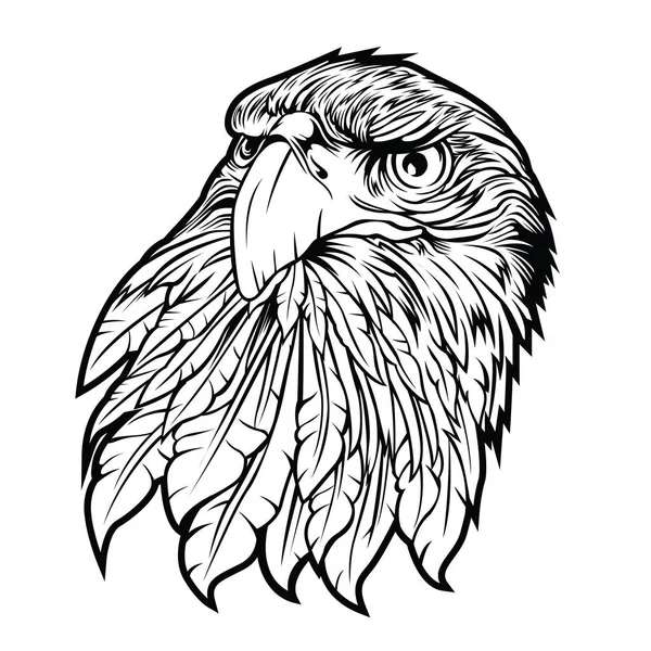 Eagle Drawing Animal Logo Usa America Vector Illutration — Stock Vector