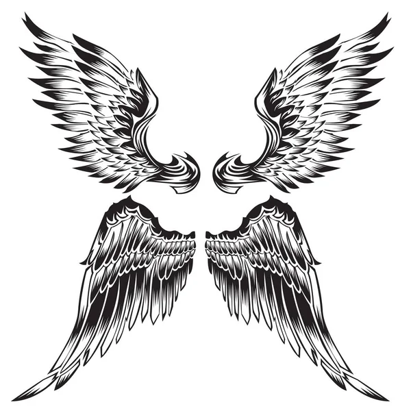Vleugels Vogel Veer Zwart Wit Tattoo Dier Vintage Vector — Stockvector