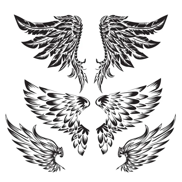 Vleugels Vogel Veer Zwart Wit Tattoo Dier Vintage Vector — Stockvector