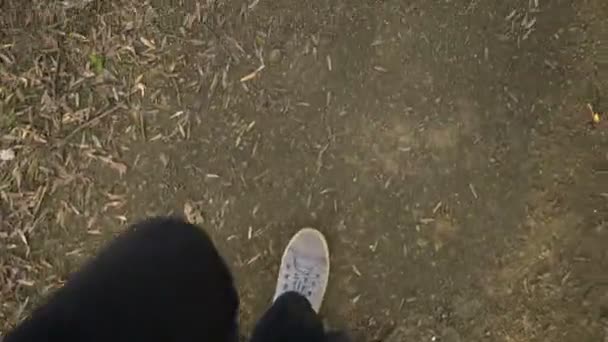 Berjalan dengan celana jeans dan sepatu olahraga — Stok Video