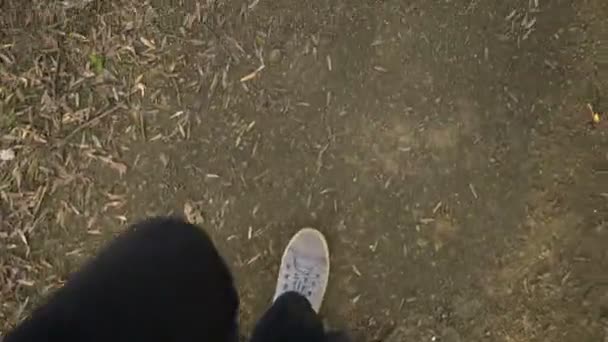 Wandelen in jeans en sportschoenen — Stockvideo