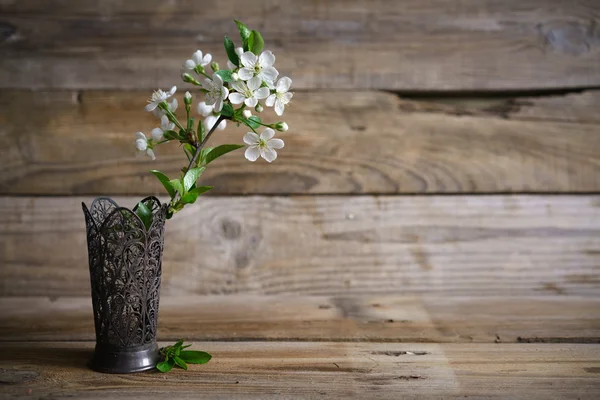 Nature morte avec des fleurs de printemps dans le vase — Photo