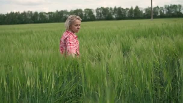 若い, 美しい少女旋回、緑、春小麦畑の上に手を上げる — ストック動画