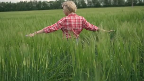 Junges, schönes Mädchen wirbelt, hebt die Hände auf das grüne, frühlingshafte Weizenfeld — Stockvideo