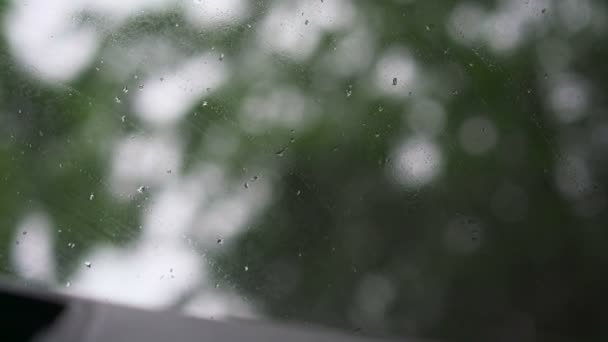 ガラスを離れて流れる雨 — ストック動画