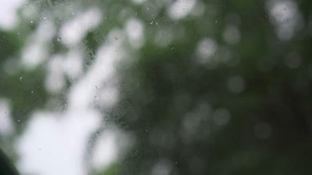 Дождь стекает со стекла — стоковое видео