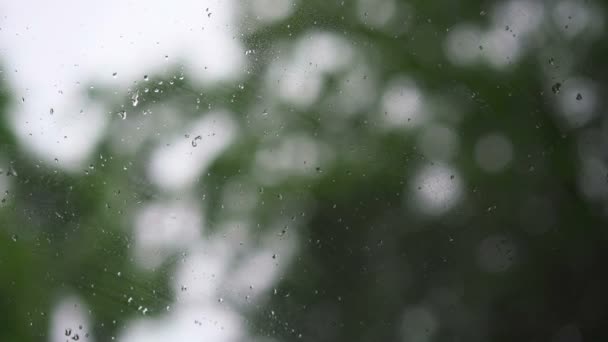 Gotas de chuva em vidro — Vídeo de Stock