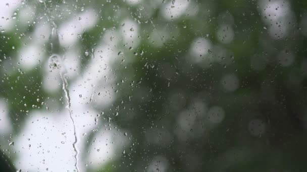 Lluvia saliendo del vidrio — Vídeos de Stock