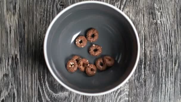 Anillos crujientes de chocolate con semillas de sésamo . — Vídeos de Stock