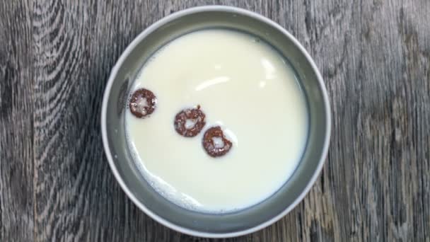 В миске с молоком разбросаны шоколадные кольца . — стоковое видео