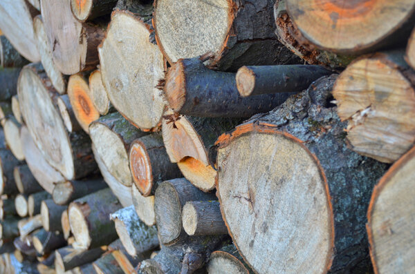 Предпосылки для укладки дров
