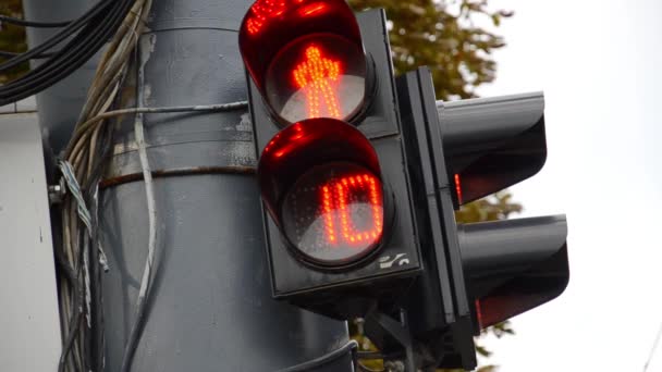 Close Voetgangers Verkeerslicht Twee Verkeerslichten Worden Rood Groen Aftellen Seconden — Stockvideo