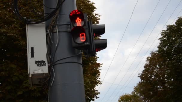 Yaya Trafiği Işıklarına Yakın Çekim Trafik Işığı Kırmızıya Döner Yeşile — Stok video