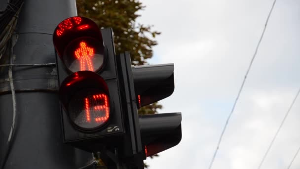 Close Voetgangers Verkeerslicht Twee Verkeerslichten Worden Rood Groen Aftellen Seconden — Stockvideo