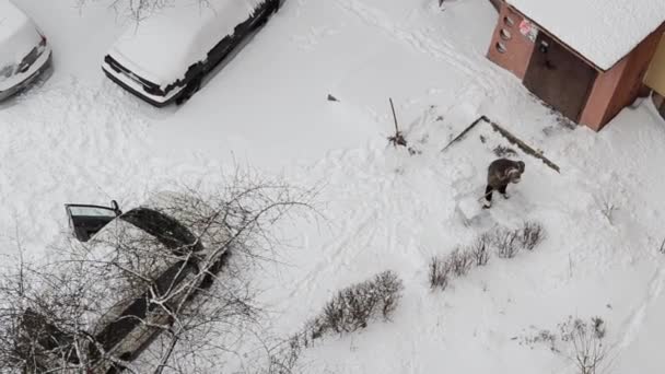 Kiev Ucrânia Janeiro 2021 Mulher Idosa Zeladora Remove Neve Perto — Vídeo de Stock
