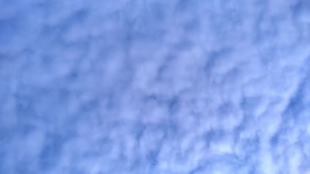 Kék Fehér Felhőkkel Felhőkép Időeltolódás Nyári Borulási Idő Lejárt Gyors — Stock videók
