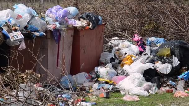 넘치는 쓰레기통 쓰레기 자연을 쓰레기로 오염시키는 쓰레기가 쓰레기통의 비디오 — 비디오
