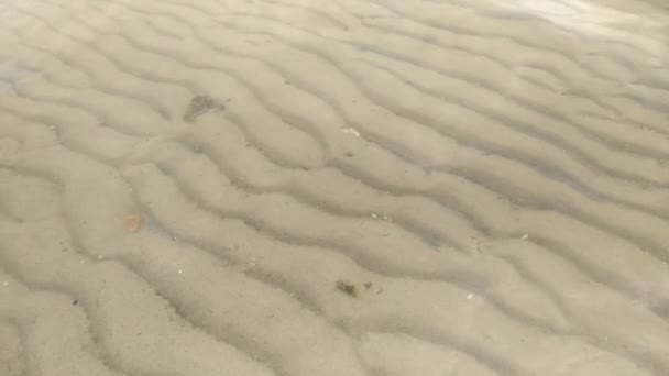 Textura Fondo Ondulado Lago Arenoso Bajo Agua Clara Vista Superior — Vídeos de Stock