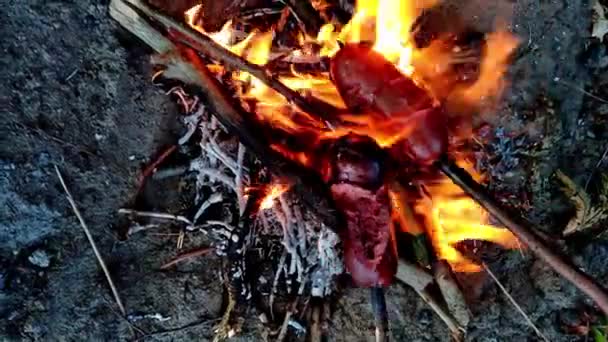 Ζουμερά Λουκάνικα Τηγανίζονται Ξυλάκια Πάνω Από Μια Ανοιχτή Φωτιά Καλοκαιρινό — Αρχείο Βίντεο