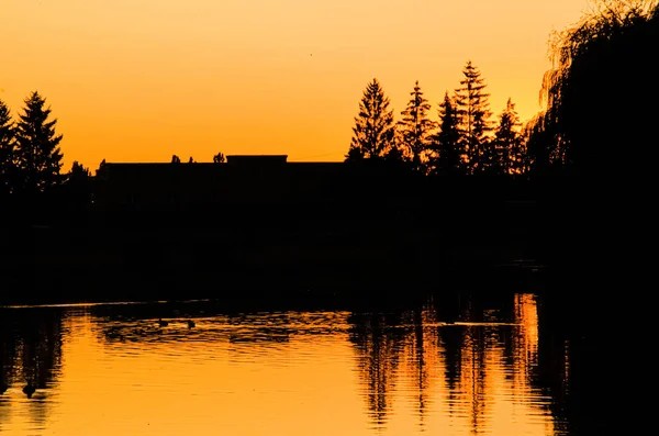 Закат Над Озером Силуэты Домов Деревьев Лучах Вечернего Солнца Черные — стоковое фото