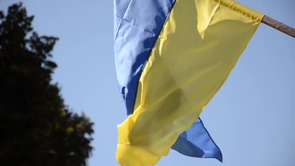 Bandiera Ucraina Sventola Nel Parco Vento Soffia Bandiera Stato Blu — Video Stock