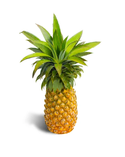 Taze ananas Stok Fotoğraf