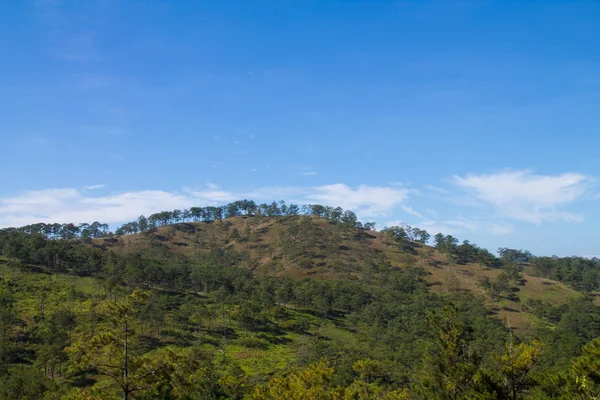 Hügel mit Wald bedeckt — Stockfoto