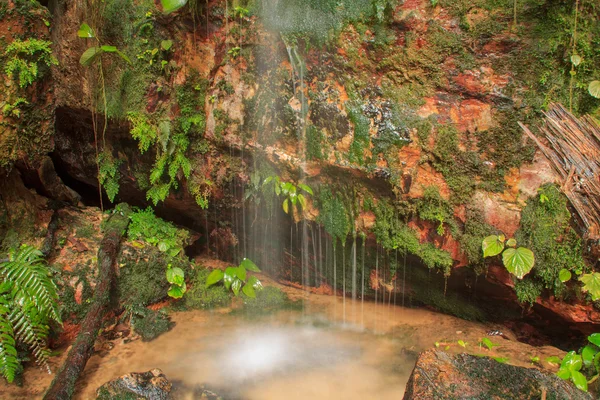 Mały wodospad w lesie — Zdjęcie stockowe