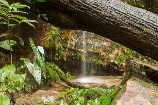 Pequena cachoeira — Fotografia de Stock