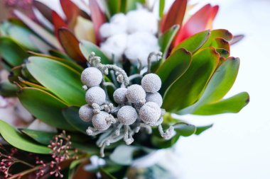 Brunia bir buket içinde. Küçük dekoratif gri meyveler.