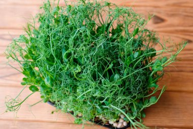 Ahşap zemin üzerinde mikro yeşil bezelyeler. Yukarıdan görüntüle