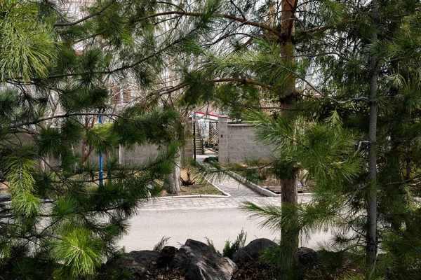 木の後ろから家のオープンゲートのビュー 人はいない — ストック写真