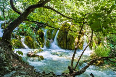 Güzel cascades adlı Plitvice Milli Parkı Hırvatistan.