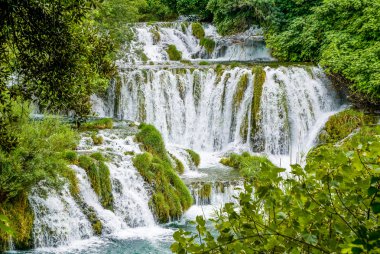 Milli Park Krka Hırvatistan Cascade'lerde.