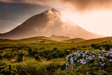 Volkan Pico-Azores önünde büyük boğa