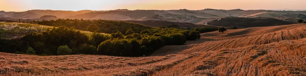 Romanttinen laajamittainen panoraama Toscanassa Italia auringonlaskun aikaan kuvapankkikuva