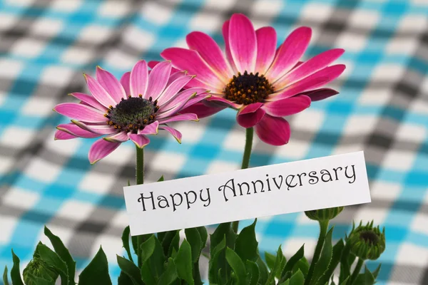 Carte joyeux anniversaire avec marguerites de gerbera rose — Photo