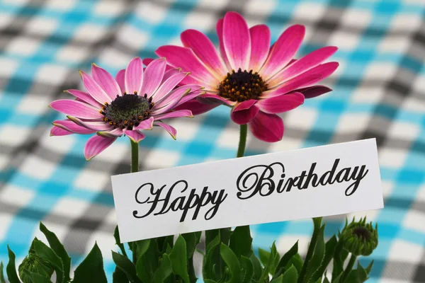 Happy birthday card with pink gerbera daisies — Stock Photo, Image