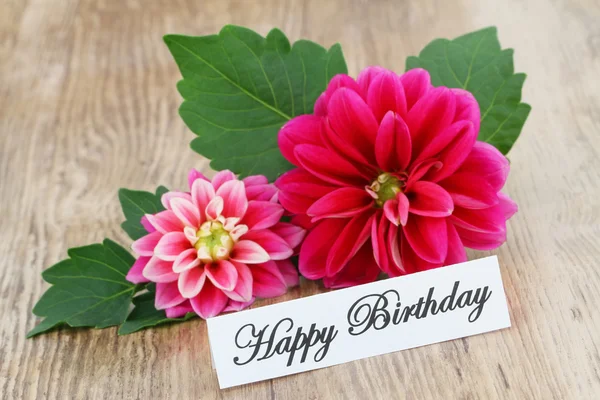 Cartão de aniversário feliz com dahlia rosa — Fotografia de Stock