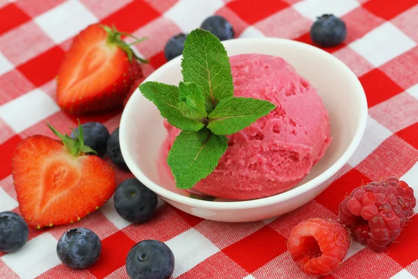 Fruchtsorbet — Stockfoto