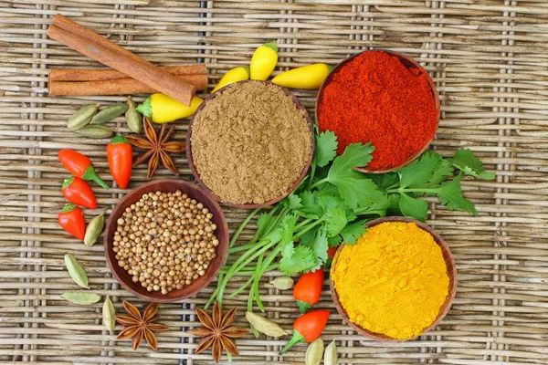 Selection of Indian spices and chilies — Stock Photo, Image