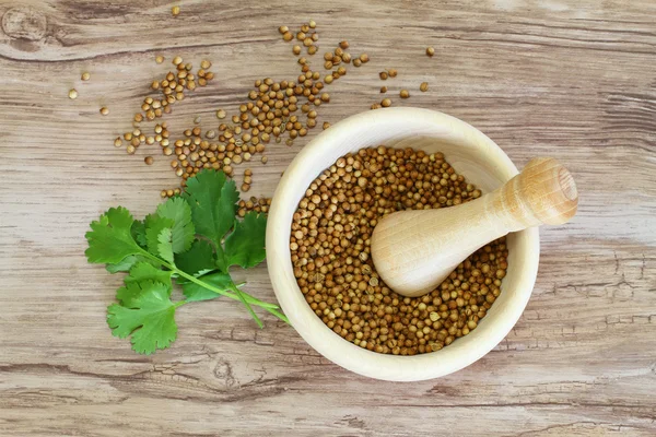 Coriander seeds in mortar and fresh coriander leaves