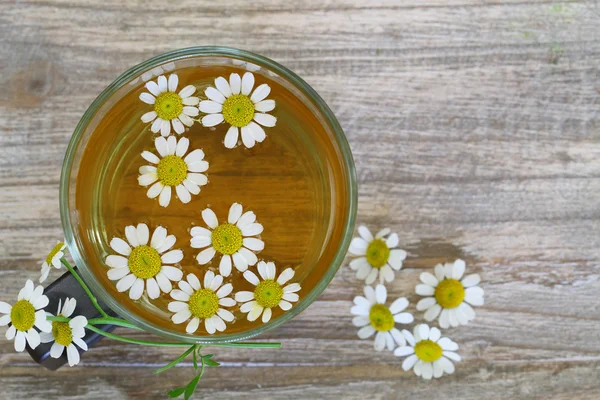 Ромашковый чай, ромашковые цветы с копировальным пространством — стоковое фото