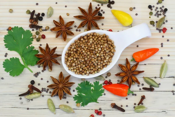 Coriander seeds with selection of Indian spices — Stock Photo, Image