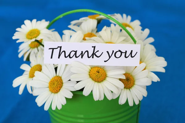 Dankeskarte mit weißen Gänseblümchen auf blauem Hintergrund — Stockfoto